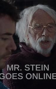 Mr. Stein Goes Online