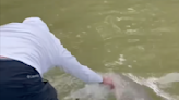 Video shows shark pulling man off his boat in Florida Everglades