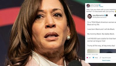 White male MAGA influencer roasted for post claiming to be a Black woman who would never vote for Kamala Harris