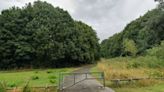 Girl, 14, sexually attacked in Sheffield woodland