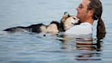 Bogotá ofrece piscinas para nadar con perros: una experiencia única para mascotas y propietarios