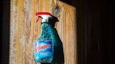 10 Surprising Windex Uses (Aside From Cleaning Glass)