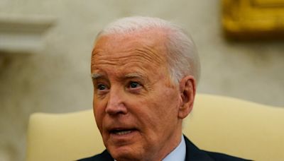 Biden unveils plan allowing hundreds of thousands to gain US citizenship