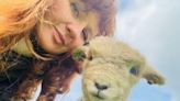 Woman breeding adorable sheep to help prevent their extinction | Fox 11 Tri Cities Fox 41 Yakima