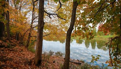 Here are 10 places, parks to see fall foliage in the Louisville area