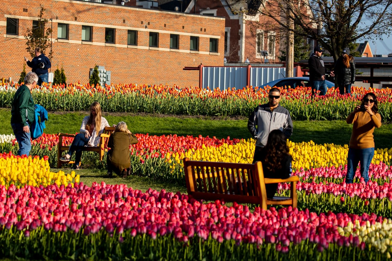 Holland planted the seeds with Tulip Time. Now the other 51 weeks are blossoming.