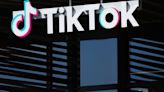 TikTok Files Lawsuit To Block US Ban, Calls It 'Unconstitutional'