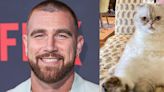 Travis Kelce’s Net Worth Is Beaten Out By This Singer’s Cat