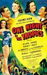 One Night in the Tropics