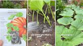 Gardener shares ‘genius’ hack for growing the biggest pumpkins in the patch: ‘This is the key to growing giant pumpkins’