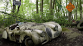 German Forest Conceals Millions of Dollars of Luxury Classic Cars Left to Rot