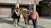 Last day horse ride to school