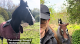 Woman thought her horses had been stolen—until one ran to her for help