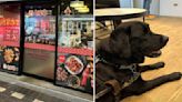 導盲犬被拒入內稱「總店指示」 起家雞道歉卻要「懲處員工」遭網友砲轟