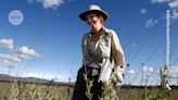 Diana Wall obituary: ecologist who foresaw the importance of soil biodiversity