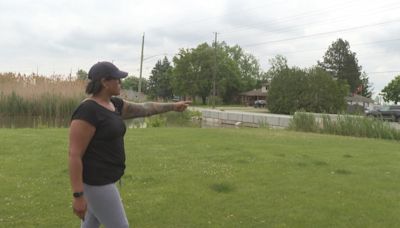 After a police car hit a family of geese near her home, this woman is calling for action