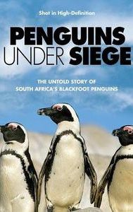 Penguins Under Siege