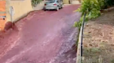 Un río de vino sorprende a los vecinos de un pueblo de Portugal