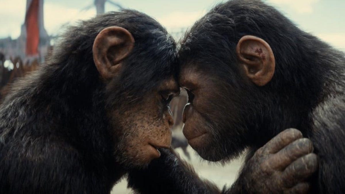 The new Planet of the Apes series looks forward to an uncertain future