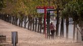 Zonda hoy en Mendoza: cuándo podría bajar al llano | Sociedad