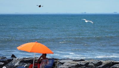 Por tiburones cerraron playa en Queens, Nueva York; aves dificultan supervisión de drones - El Diario NY