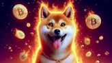 Shiba Inu Sees Massive 466% Weekly Burn Surge Amid 22% Price Plummet - EconoTimes