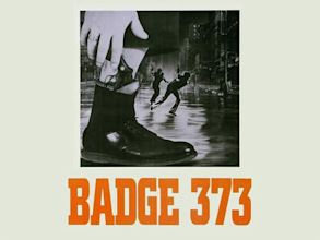 Badge 373
