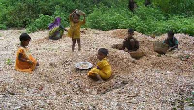 Mica mines now child labour-free, kids in Jharkhand's Koderma now go to school: NCPCR