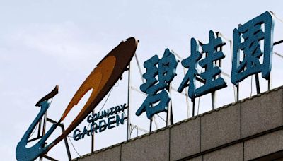 Country Garden liquidation hearing adjourned to January next year, court says - ET RealEstate