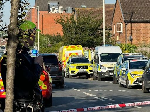 Hainault: What we know about London sword attack