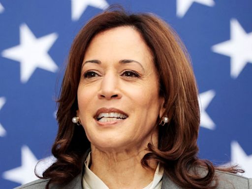 Kamala Harris says more Indian American representation is needed in government