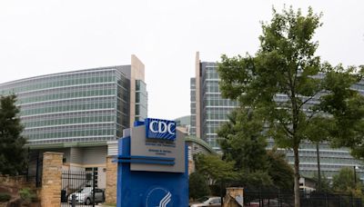 ‘We’re flying blind’: CDC has 1M bird flu tests ready, but experts see repeat of COVID missteps