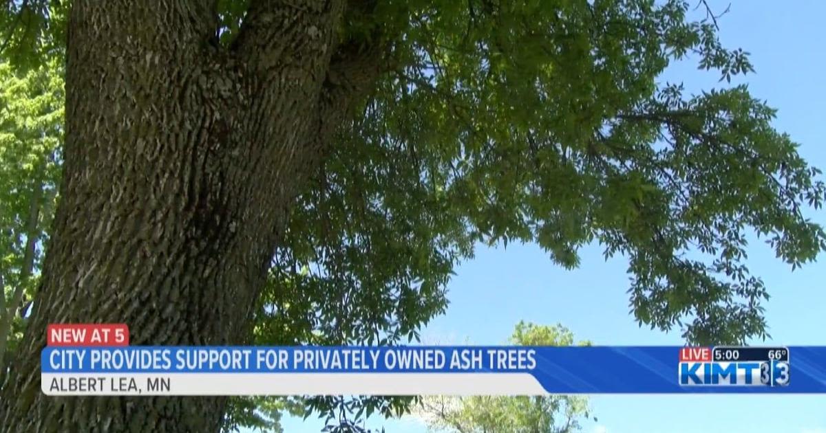 Albert Lea City Council Approves Plan to encourage homeowners to treat emerald ash borer
