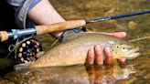 Fly Fishing: A Complete Guide to the Most Fun and Frustrating Way to Catch Fish