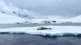 El bajo nivel de hielo en la Antártida sería “muy improbable” sin el calentamiento global