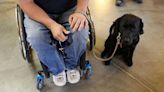 Service dogs helped ease PTSD symptoms in US military veterans, researchers say