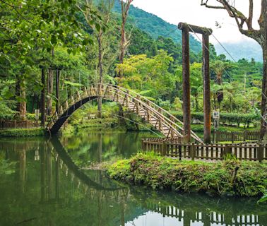 【打卡景點】台灣最受歡迎森林遊樂區溪頭奪冠，避暑、健行、賞鳥盡享森林SPA！