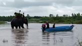 Stranded elephant rescued from fast-flowing river during Thailand’s monsoon season