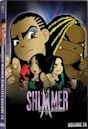 Shimmer Volume 24