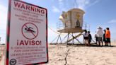 Study finds disturbing amount of fecal contamination at U.S. beaches