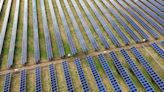 As solar capacity grows, some of America's most productive farmland is at risk - ET EnergyWorld