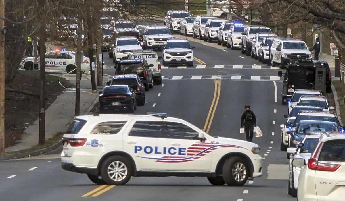 Armed man shot dead by police in Alexandria