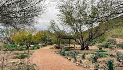 Promoting 4,000 Years Of Food History In Tucson