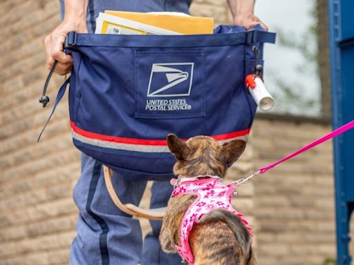 Protecting postal workers from pets in Tennessee