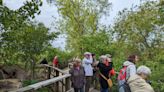 Binoculars in hand, birders flock to Magee Marsh