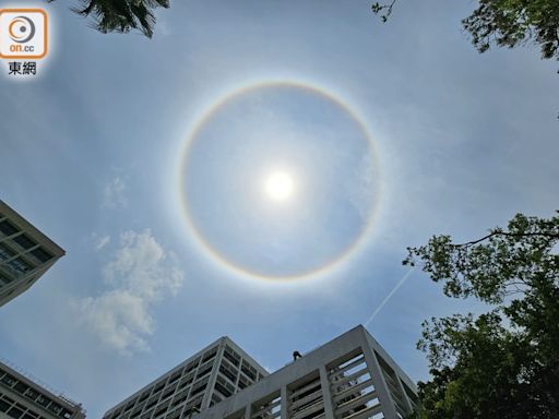 日暈一周三「蒲頭」 七彩圓環配太陽