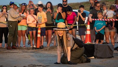 'We're not done': How Kemp's ridley sea turtles became endangered and what threats remain