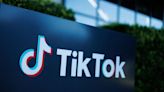 Kevin O'Leary wants to buy TikTok at up to 90% discount. Here's why