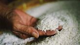 India mulls easing rice export limits in boon to world buyers - ET Retail