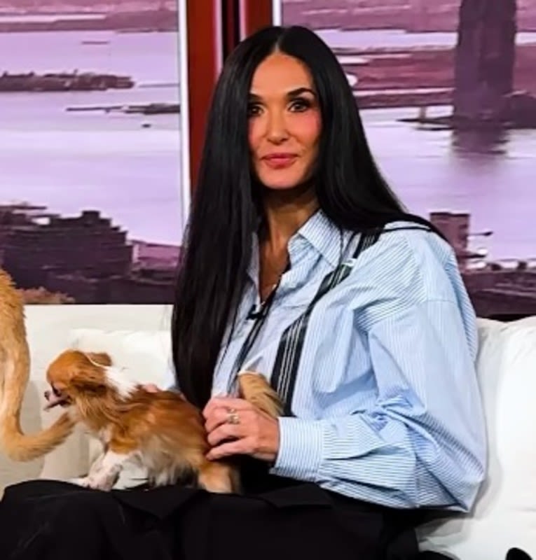 Demi Moore's Tiny Chihuahua Meets Drew Barrymore's Dog and Cuteness Ensues